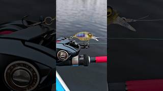 What will Megabass Griffon SRX BFS Crankbait Fished on BFS catch [upl. by Nies]