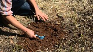 How to Collect a Soil Sample for Lab Analysis [upl. by Conrad]