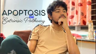 APOPTOSIS EXTRINSIC PATHWAY  DEATH DOMAIN  PATHOLOGY  MBBS [upl. by Laura]