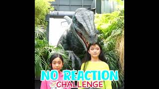 NO REACTION DINOSAUR ENCOUNTER shorts noreactionvideo dinosaur kaycee wonderlandfamily [upl. by Gehman487]