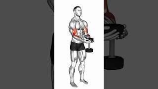 Dumbbell Waiter Biceps Curl [upl. by Annalla]