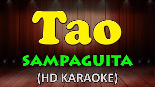 TAO  Sampaguita HD Karaoke [upl. by Nylle735]