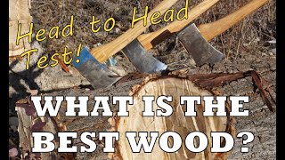 What is the Best Wood for Axe Handles [upl. by Doehne]