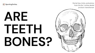 Are Teeth Bones [upl. by Danielson]