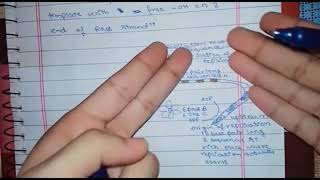 DNA replication in prokaryotes [upl. by Ailadi886]