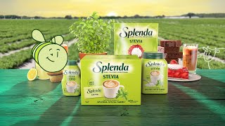 Sweet BEEginings  Splenda Stevia 30 [upl. by Treblih]