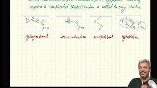 A2 Organic Amino AcidZwitterionElectrophoresis lecture 2 [upl. by Jennie702]