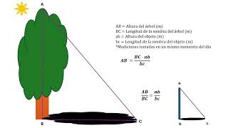 MEDICION SENCILLA de ALTURAS PARTE 2 [upl. by Ruthven]