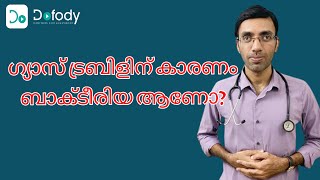 എച്ച് പൈലോറി എന്താണ് 🔬 Dont Wait for the Symptoms to Do the H pylori Tests 🩺 Malayalam [upl. by Anilyx405]