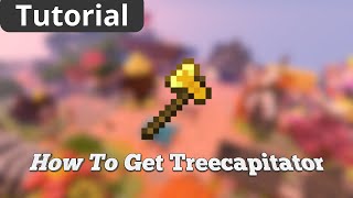 How To Get TREECAPITATOR in Hypixel Skyblock [upl. by Anatola]