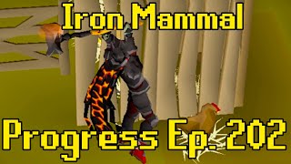 The New Best Weapon in OSRS  Iron Mammal Progress 202 [upl. by Jake]