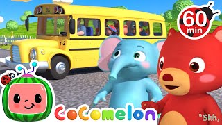 Wheels on the Bus  CoComelon Nursery Rhymes amp Kids Songs [upl. by Malsi358]