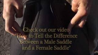 Schleese Saddlery Discusses Rider Pain [upl. by Ettezil]