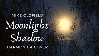 Moonlight Shadow Mike Oldfield Harmonica cover [upl. by Anselma273]