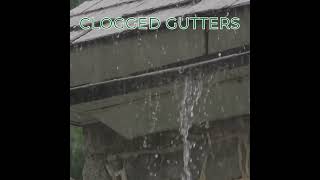 Clogged Gutters Causing Home Hassles guttercleaning home daytonohio gutterguards gutters [upl. by Haldas]