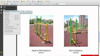 Adobe Acrobat 9 0503 Sayfa Silmek ve Eklemek [upl. by Modern]