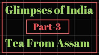 Glimpses of India Part3Tea from Assam Class 10 Line by Line Hindi explanation [upl. by Tyrone]