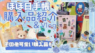 ほぼ日手帳2025 購入品紹介＆お買い物vlog ほぼ日サイズ比較 カズンvsオリジナル [upl. by Jennie576]