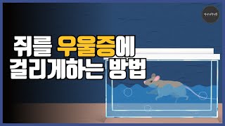 학습된 무기력과 긍정심리학  포솔트 강제 수영실험 [upl. by Chappell]