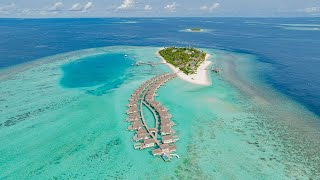 Cora Cora Maldives  une escapade au cœur de l’Océan Indien [upl. by Ateekal34]