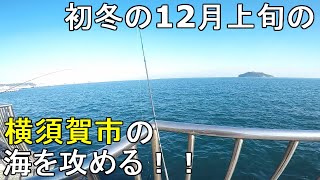 【うみかぜ公園・海辺つり公園】12月上旬横須賀市調査釣行！初冬の神奈川県南部の東京湾側の釣り場を探ってみたら意外な事実が…！【20201208】 [upl. by Rafael]