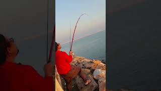 Jubail fishing’s [upl. by Sharpe]