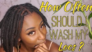 How Often Should I Wash My Locs   Starter Locs [upl. by Hasen]