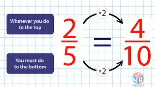 Equivalent Fractions Grade 3 [upl. by Bobinette]