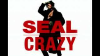 Seal  Crazy 2003 Bini amp Martini Meditation Remix [upl. by Addison]