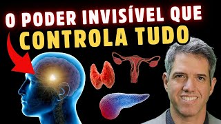 COMO DESBLOQUEAR a Função da GLÂNDULA DO CÉREBRO HIPOTÁLAMO COM 10 DICAS NATURAIS  Dr Alain Dutra [upl. by Darryl]