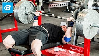 How To Bench Press Layne Nortons Complete Guide [upl. by Knowlton]