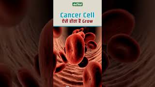 Know the Main Reason of Cancer Cell Grow  Biopsy Health Side Effects  Acharya Manish ji [upl. by Grail]