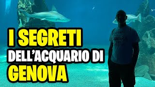 Scopri i segreti dellacquario di Genova il più grande dEuropa svelato in questo video [upl. by Vanny875]