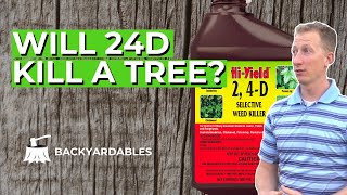 Will 24D Kill A Tree  How To Kill A Tree [upl. by Amhser]