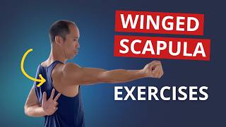 4 Exercises to Fix Winged Scapula amp Build STABLE Shoulder Blades [upl. by Fredella485]