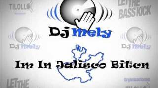 Dj Mely  09  Im in Jalisco bitch remix [upl. by Attelahs517]