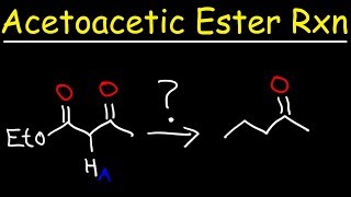 Acetoacetic Ester Synthesis Reaction Mechanism [upl. by Peirce]