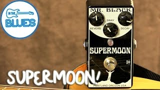 Mr Black  Supermoon Reverb Pedal [upl. by Remas]