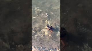 اصطادنا استاكوزا للسمك 😳 احمدالسيد اكسبلور fishing صيد [upl. by Nylitsirk278]