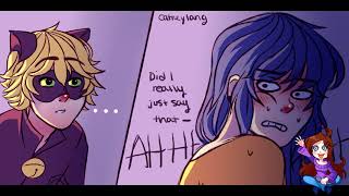 【Miraculous Ladybug Comic Dub】Delicate Part 2 [upl. by Rehpotsyrhc]