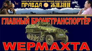 SdKfz 251 главный бронетранспортёр вермахта [upl. by Sibell240]