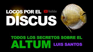 TODOS LOS SECRETOS SOBRE EL ALTUM [upl. by Pierson200]