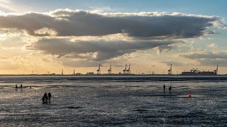 Der Jadebusen  Wilhelmshaven Dangast Tossens Langwarden [upl. by Yauqaj387]