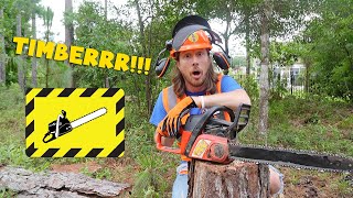 Handyman Hal cuts down a Tree with a Chainsaw  Awesome Tools for Kids [upl. by Romonda438]