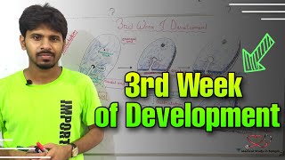 3rd week of development detail explanation in bangla [upl. by Cyna]