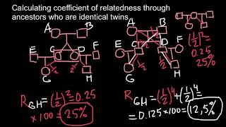 Interesting problem about coefficient of Relatedness [upl. by Aneris]