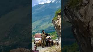 Ek taraf khamosh jindagi hai travel mountains automobile sad shortsviral sadmood sadface [upl. by Amatruda]