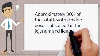 Where is levothyroxine absorbed [upl. by Munshi13]