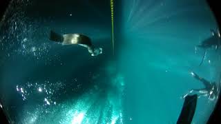 Freediving Blackout rescue from 25m86ft [upl. by Aivon]