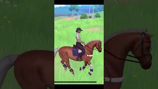 Teddy in the Meadows equestrian the game [upl. by Zumstein]